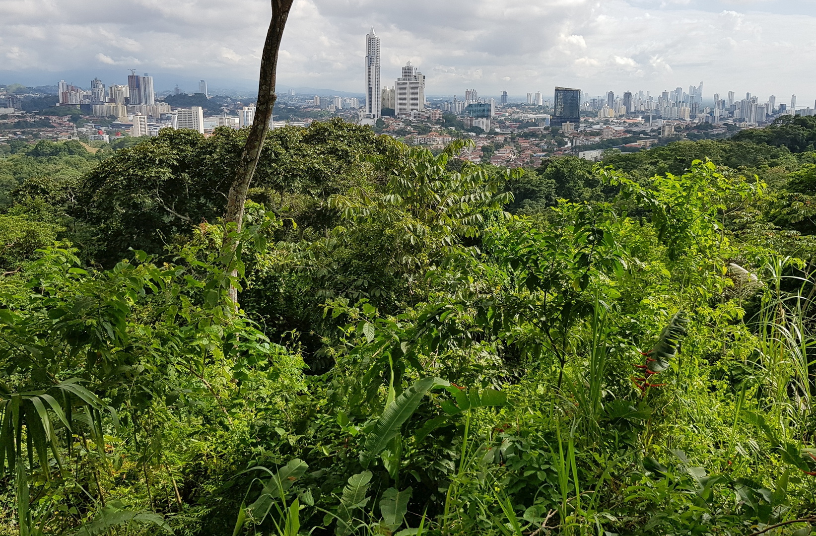 oh, wie schön ist Panama