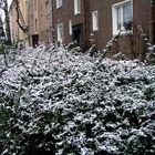 Oh Wunder Schnee in Düsseldorf