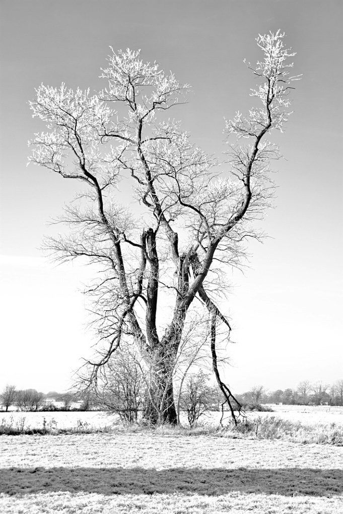 Oh...der Winter hat sich bei uns...