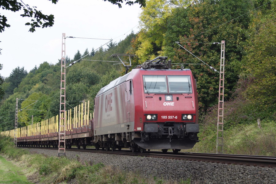 OHE 185 557 mit Holzzug bei Kreiensen am Bahnübergang bei km 63...