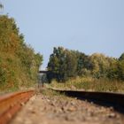 OHE-Gleise mit "Wellen" zwischen Oldershausen und Eichholz