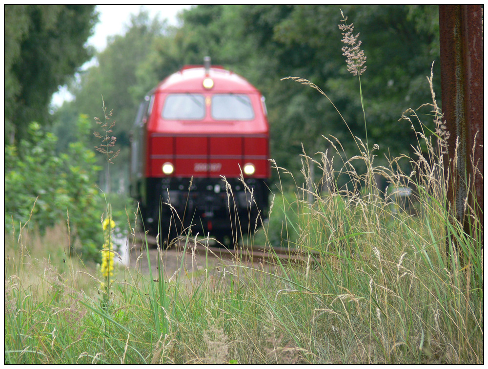 OHE-Lok 200087 am 15.07.2008 frisch aus der HU auf dem Weg nach Celle