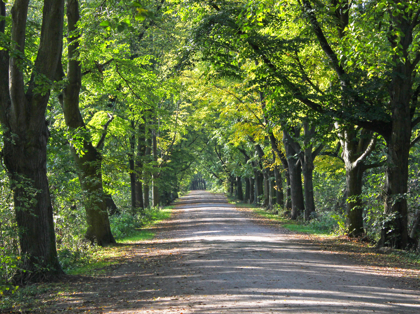 Ohedamm am Maschsee Hannover