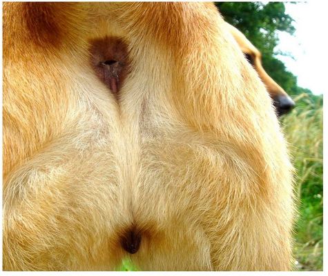 >>>}}} ohh is der süüüß !!!