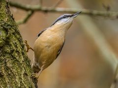 "Ohhh riecht das gut ...."