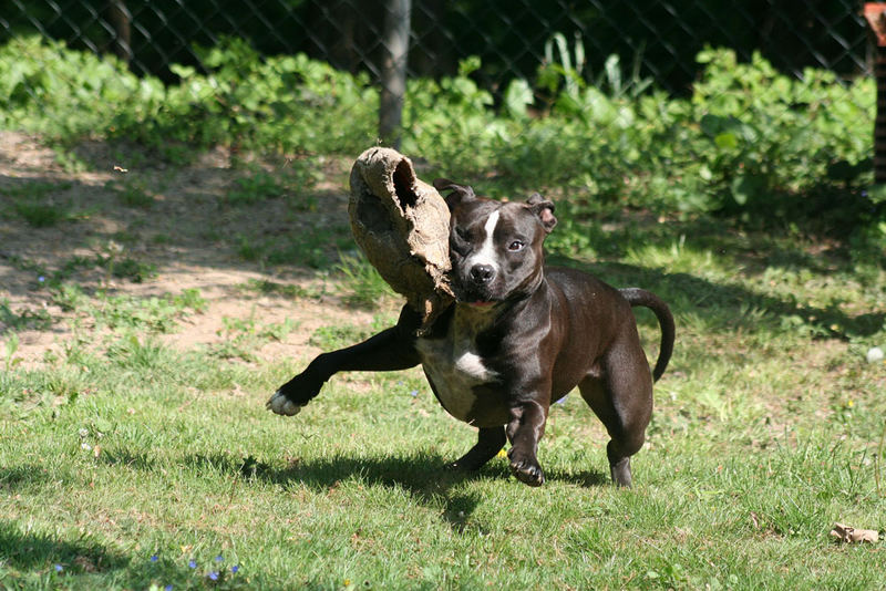 Ohhh wo will der Ball denn hin??