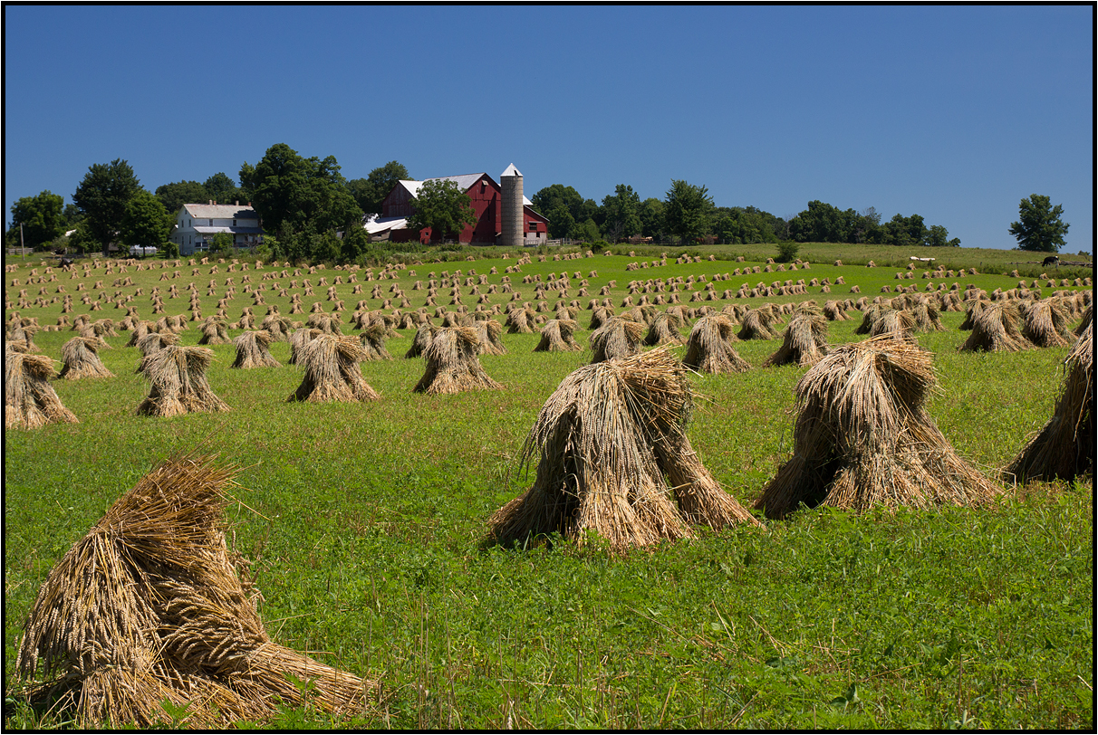 Ohio | Amish Country |