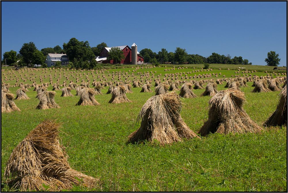 Ohio | Amish Country |