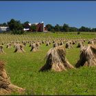 Ohio | Amish Country |