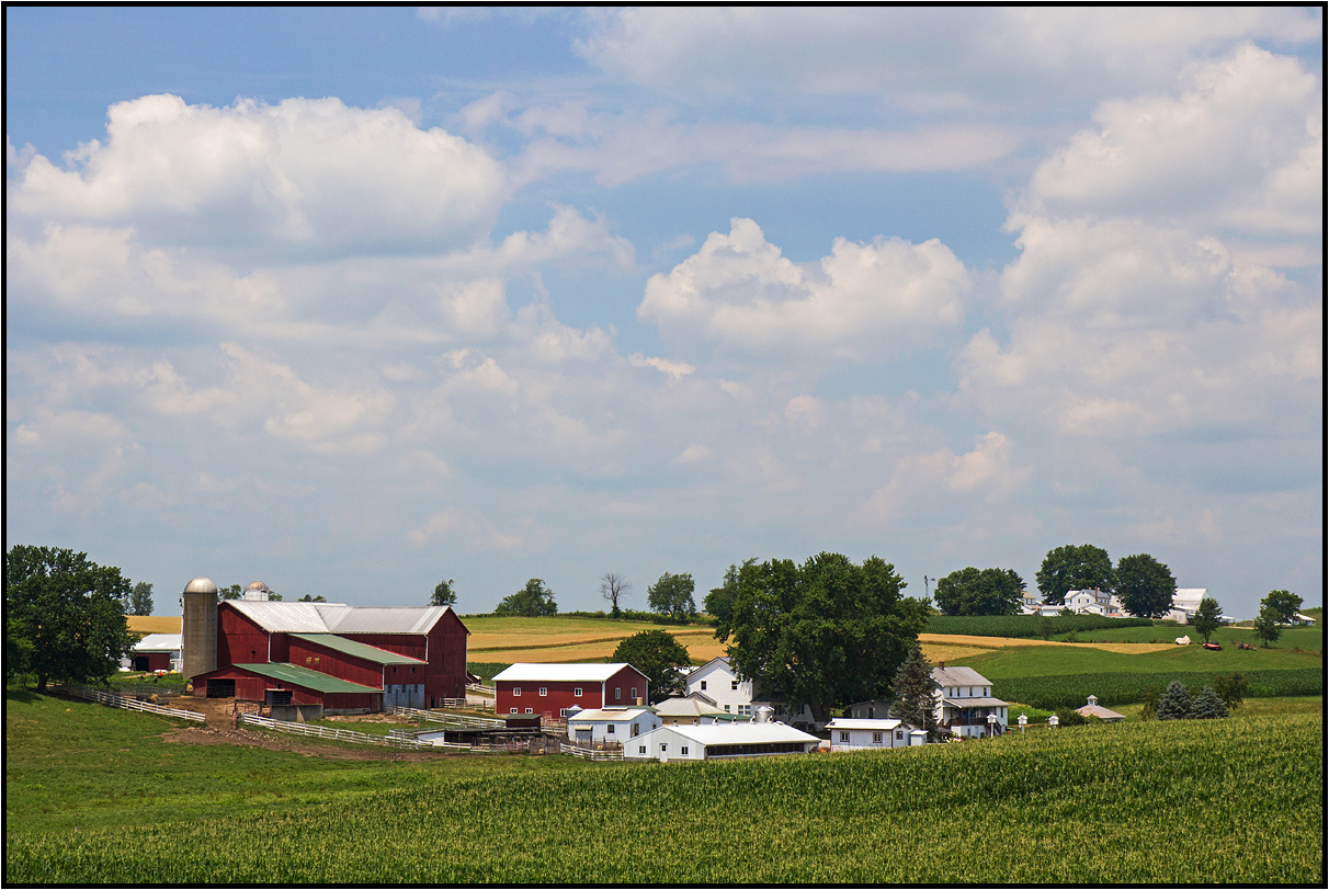 Ohio | Amish Countryside | photo & image | nature, world, landscape