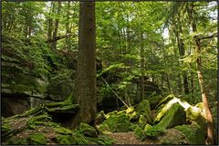 Ohio | Cuyahoga National Park |