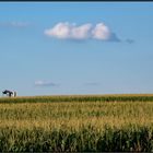 Ohio | fields |