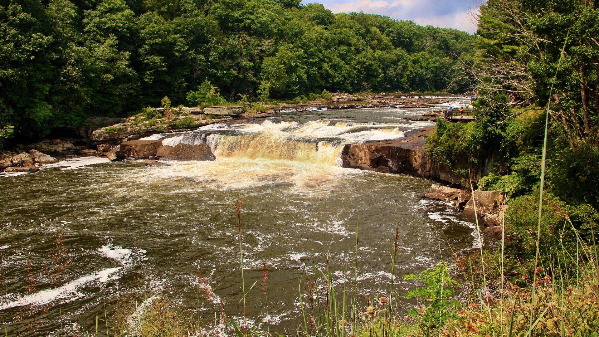 Ohiopyle Falls