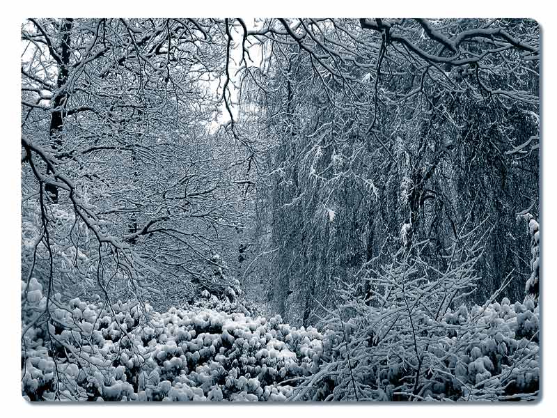 Ohldorfer Friedhof im Winter 2