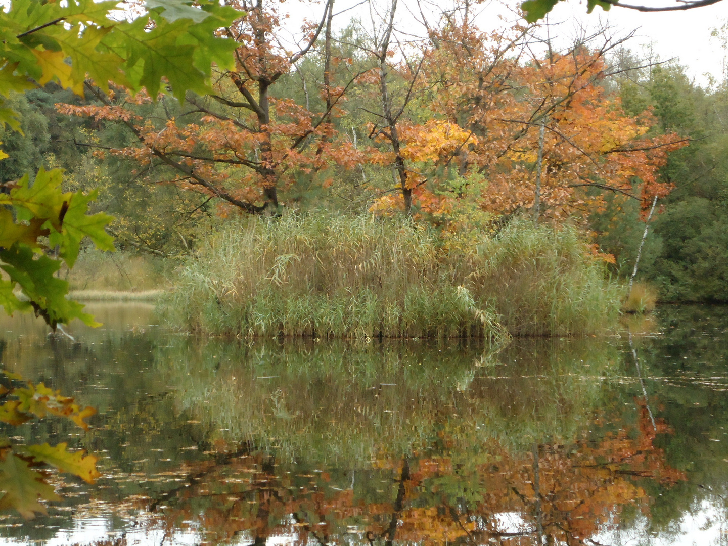 Ohligser Heide