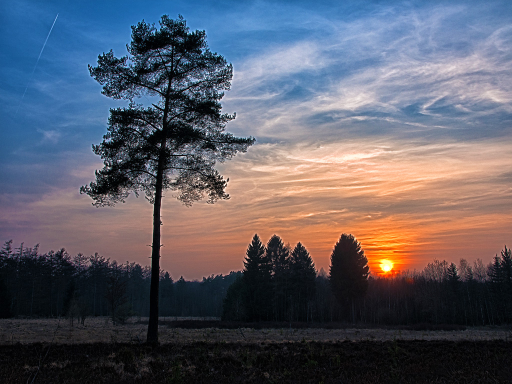 Ohligser Heide