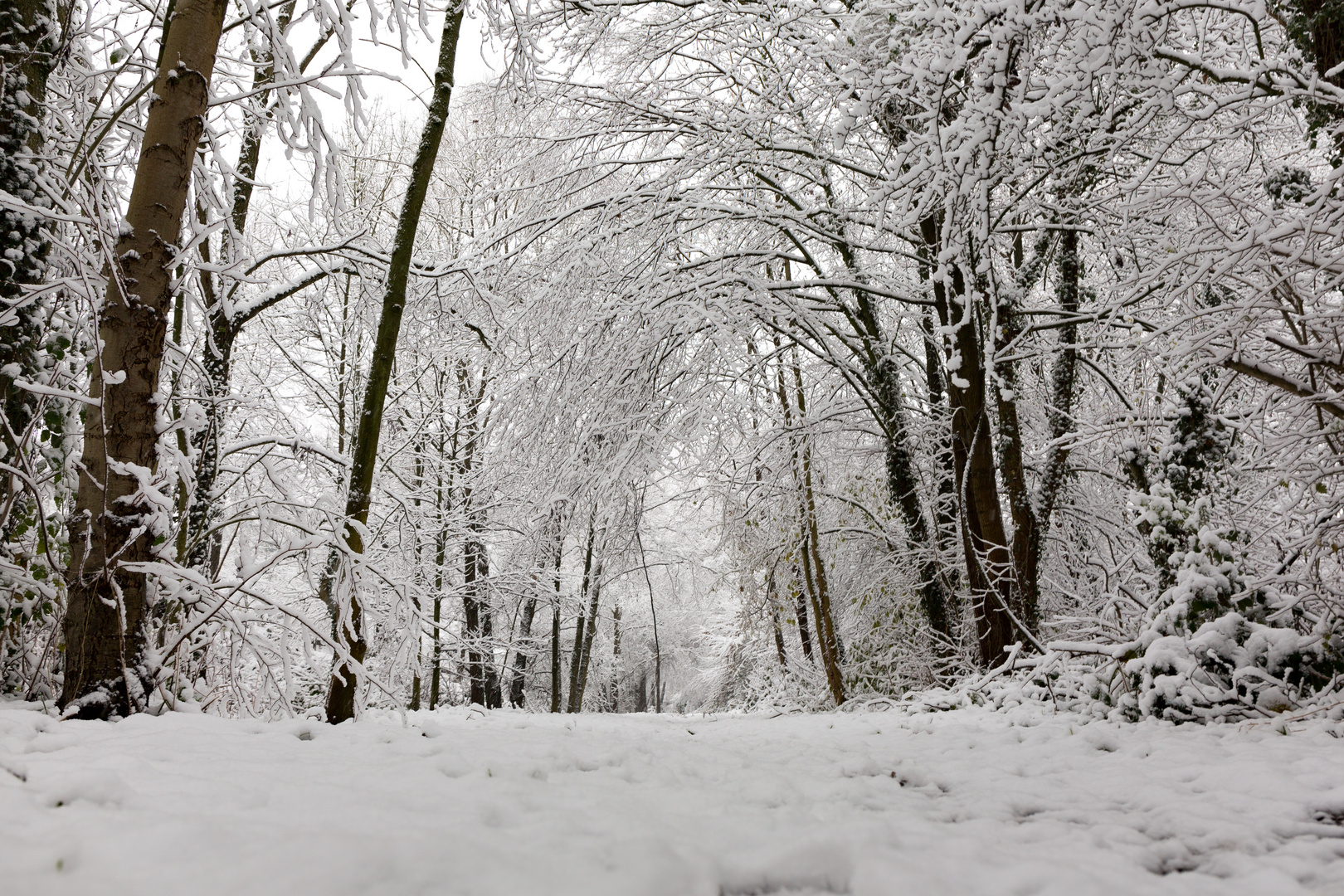 Ohligser Winterwelten