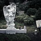 Ohlsdorf Friedhof, Hamburg - Sexy Cora I