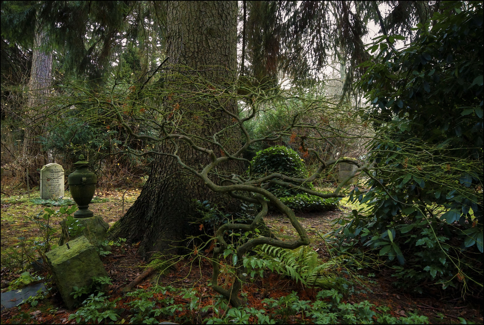 Ohlsdorfer Friedhof #2