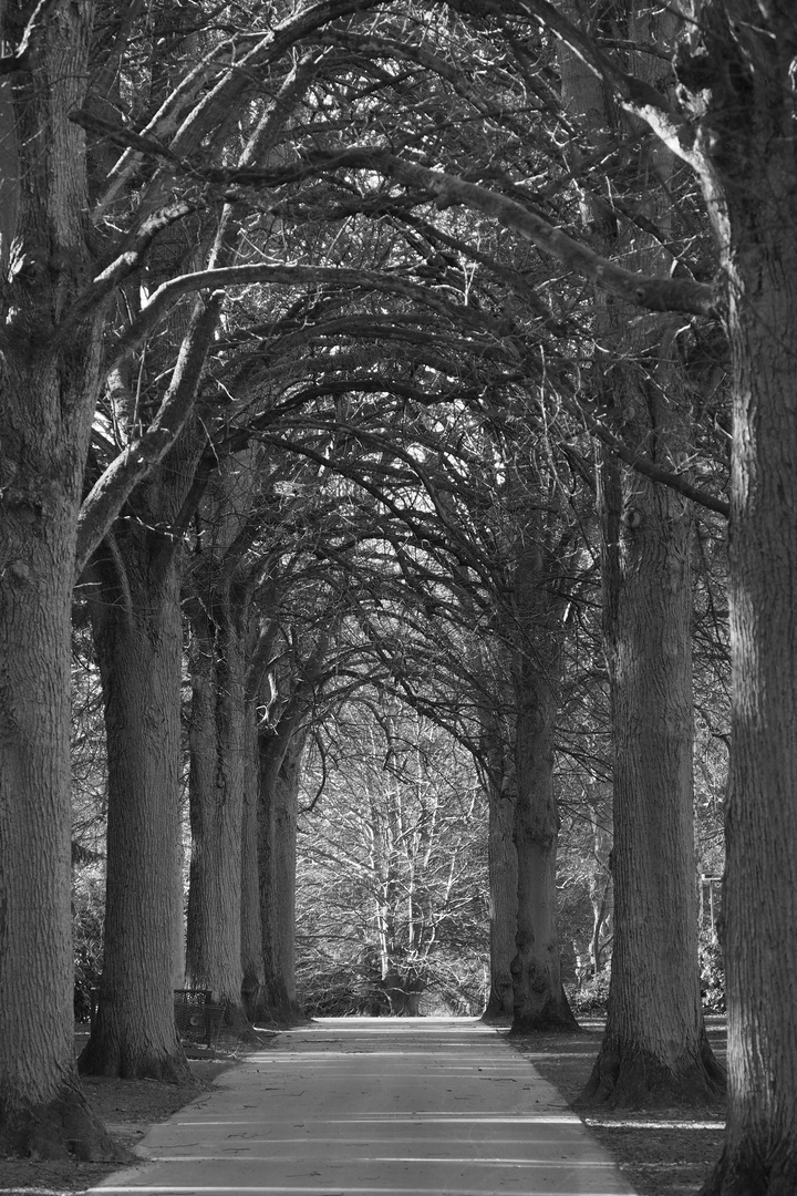 Ohlsdorfer Friedhof