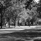 Ohlsdorfer Friedhof