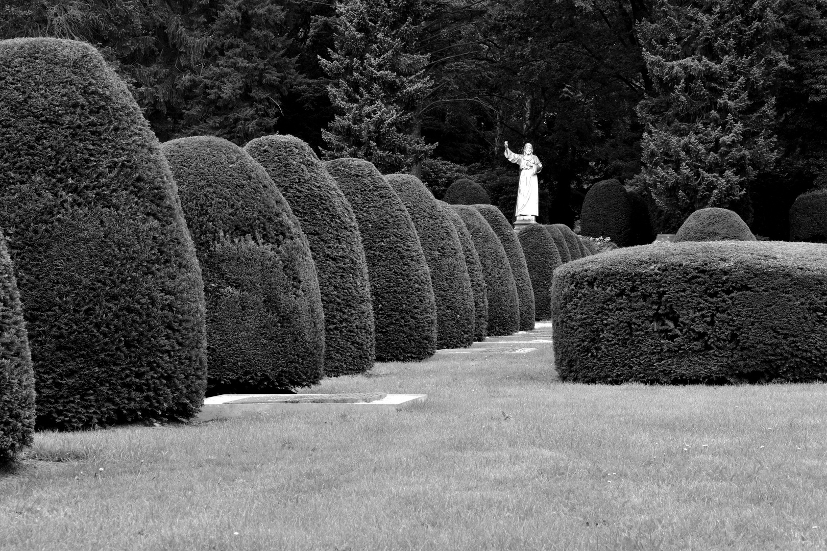 Ohlsdorfer Friedhof