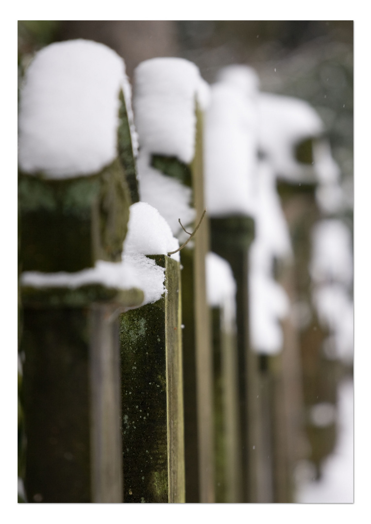 Ohlsdorfer Friedhof 7