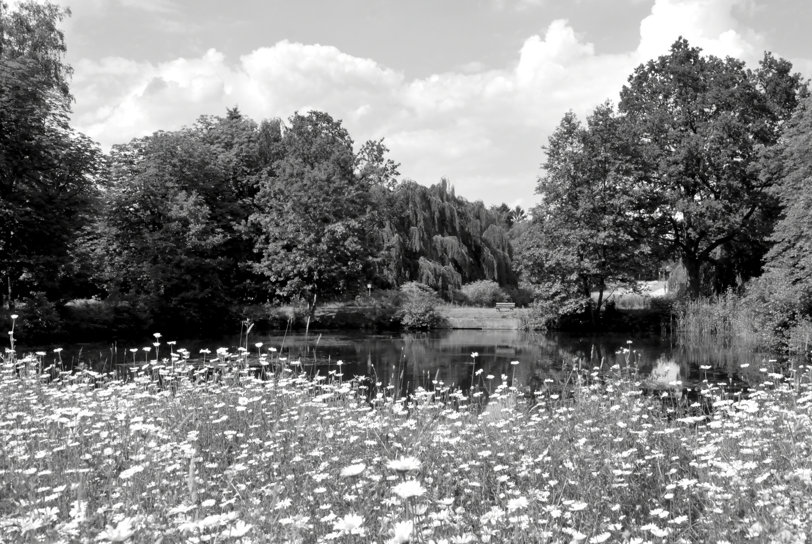 Ohlsdorfer Friedhof