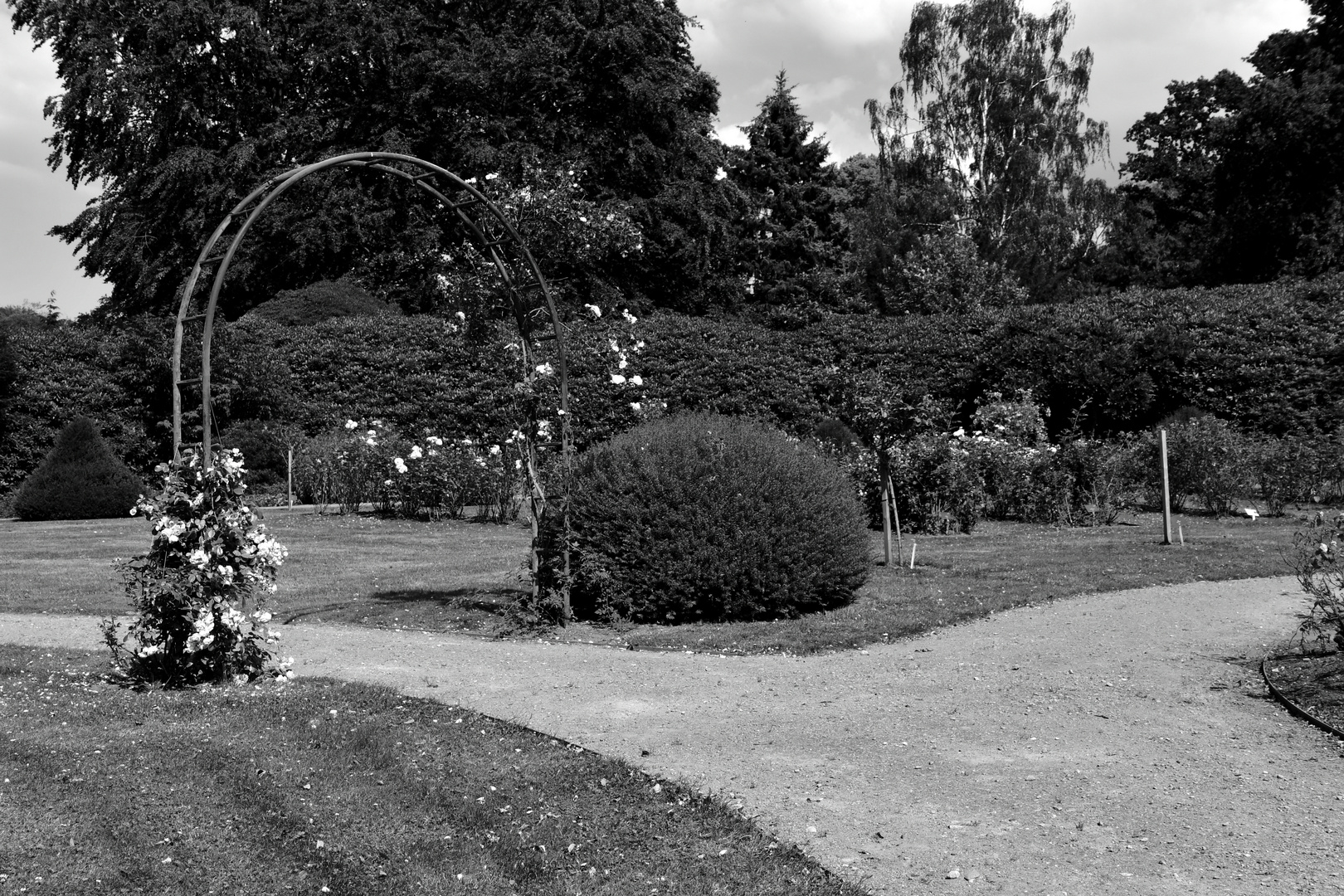 Ohlsdorfer Friedhof