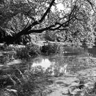 Ohlsdorfer Friedhof