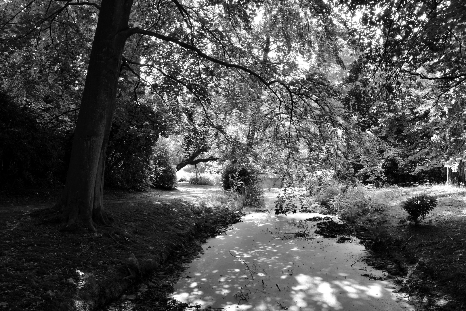 Ohlsdorfer Friedhof