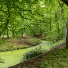 Ohlsdorfer Friedhof - Hamburg