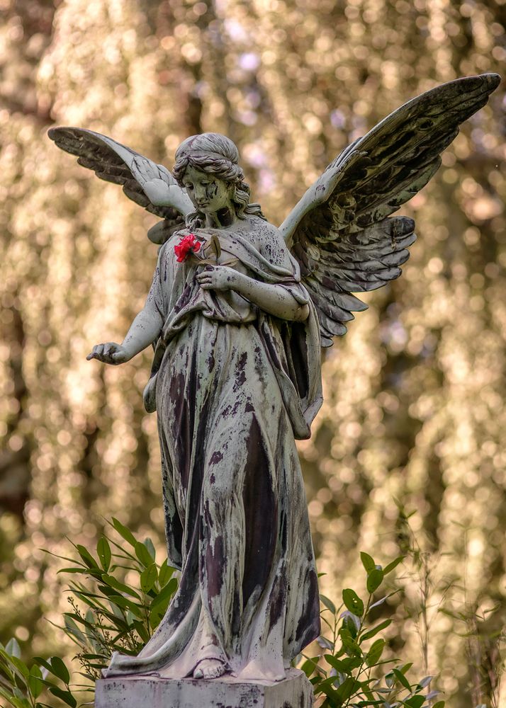 Ohlsdorfer Friedhof Hamburg