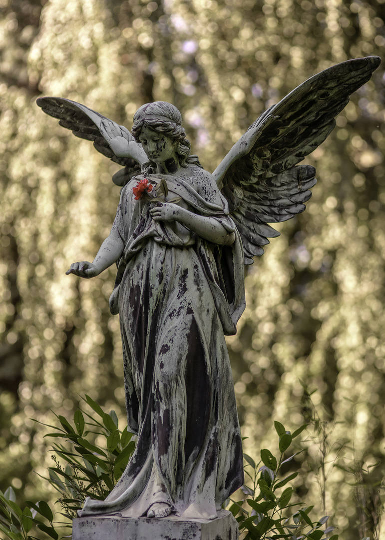 Ohlsdorfer Friedhof Hamburg