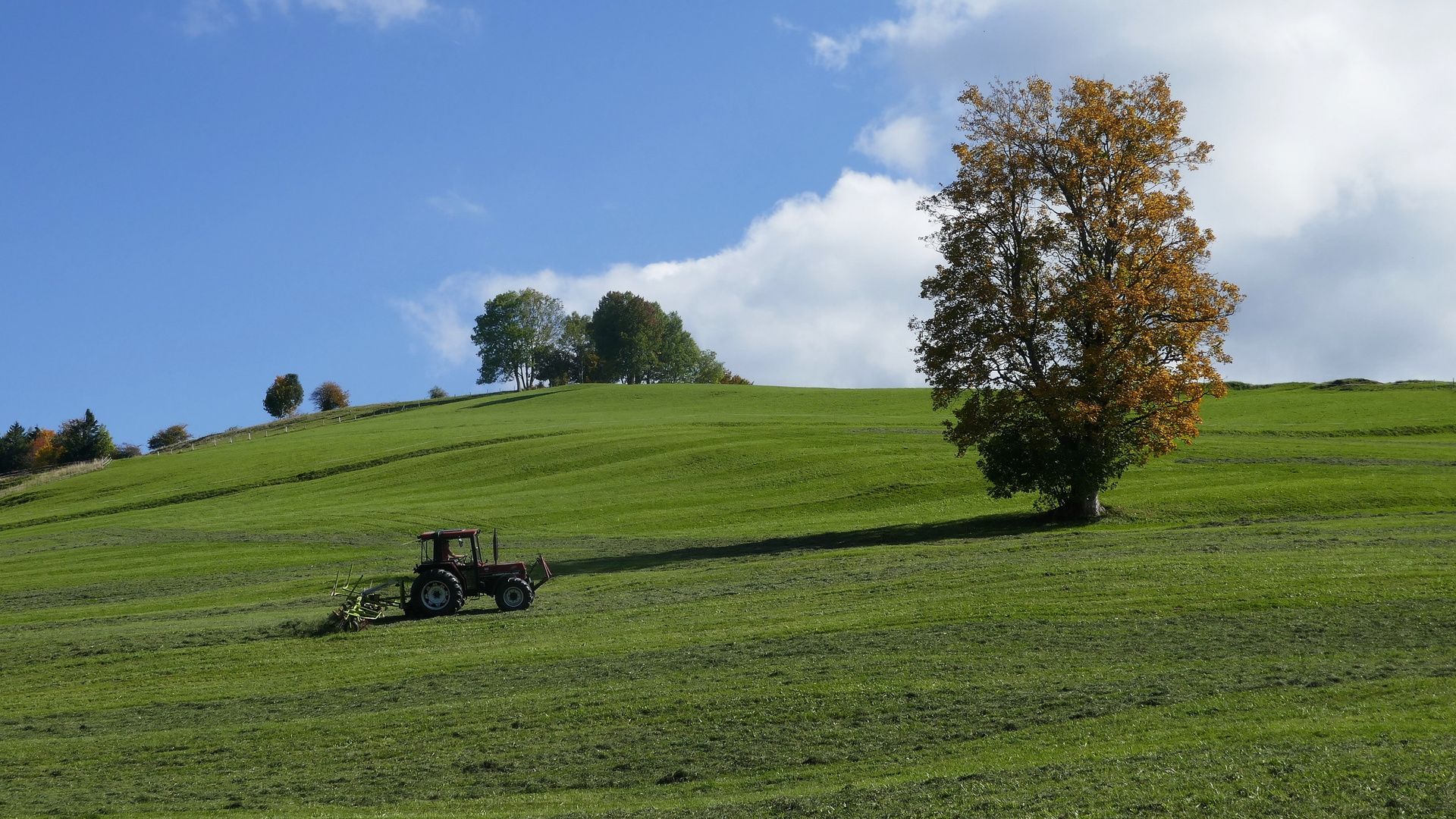 Ohmad: letzte herbstliche Grünlandernte