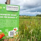 Ohne Bienen kein Obst, kein Gemüse und auch kein Saatgut