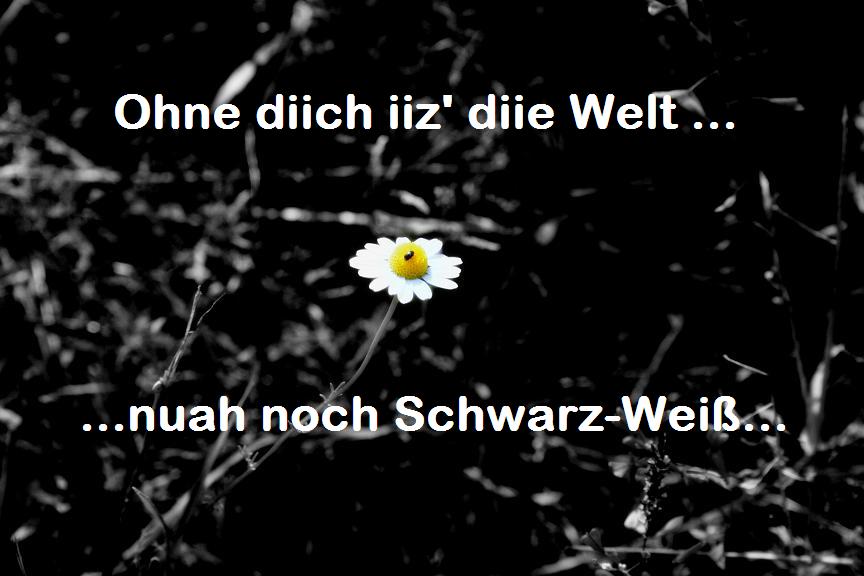 Ohne Dich , ist die Welt nur noch Schwarz Weiß... Foto & Bild natur