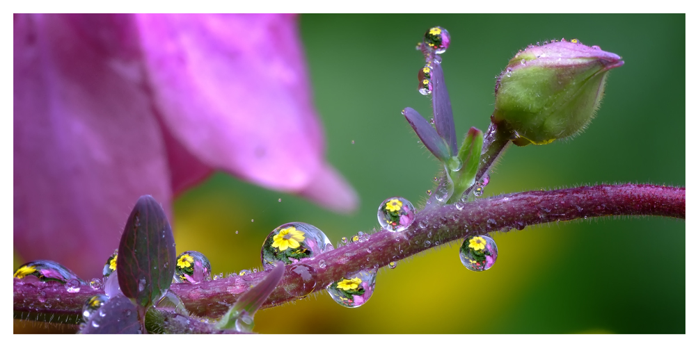 ohne Ende Regen