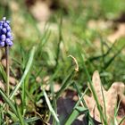 ohne frühling kein herbst