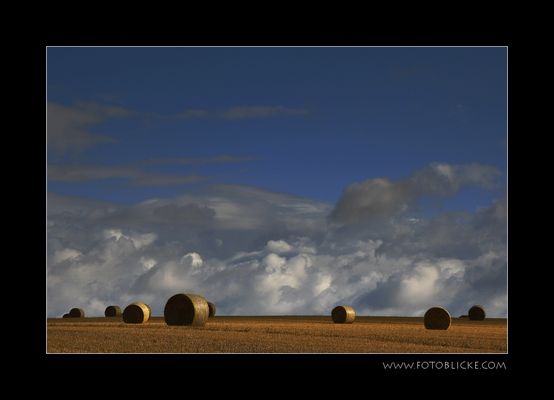 Ohne geht irgendwie nicht ...