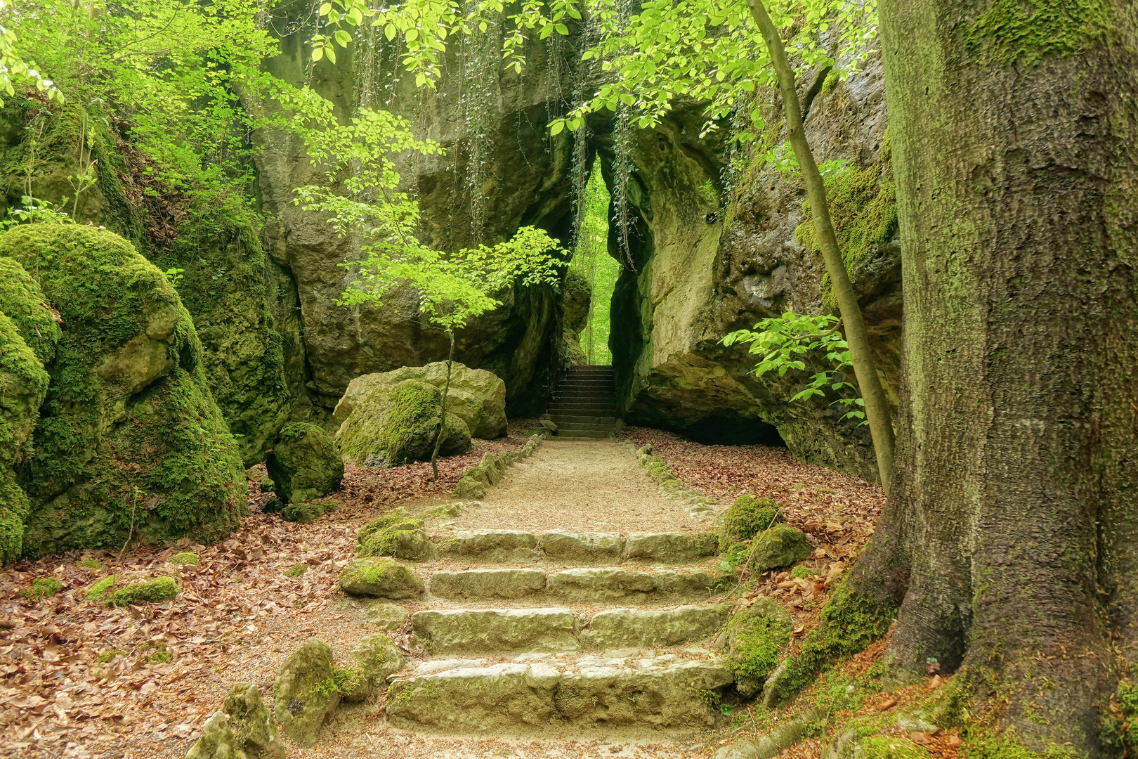 ohne Gleichen - Sanspareil