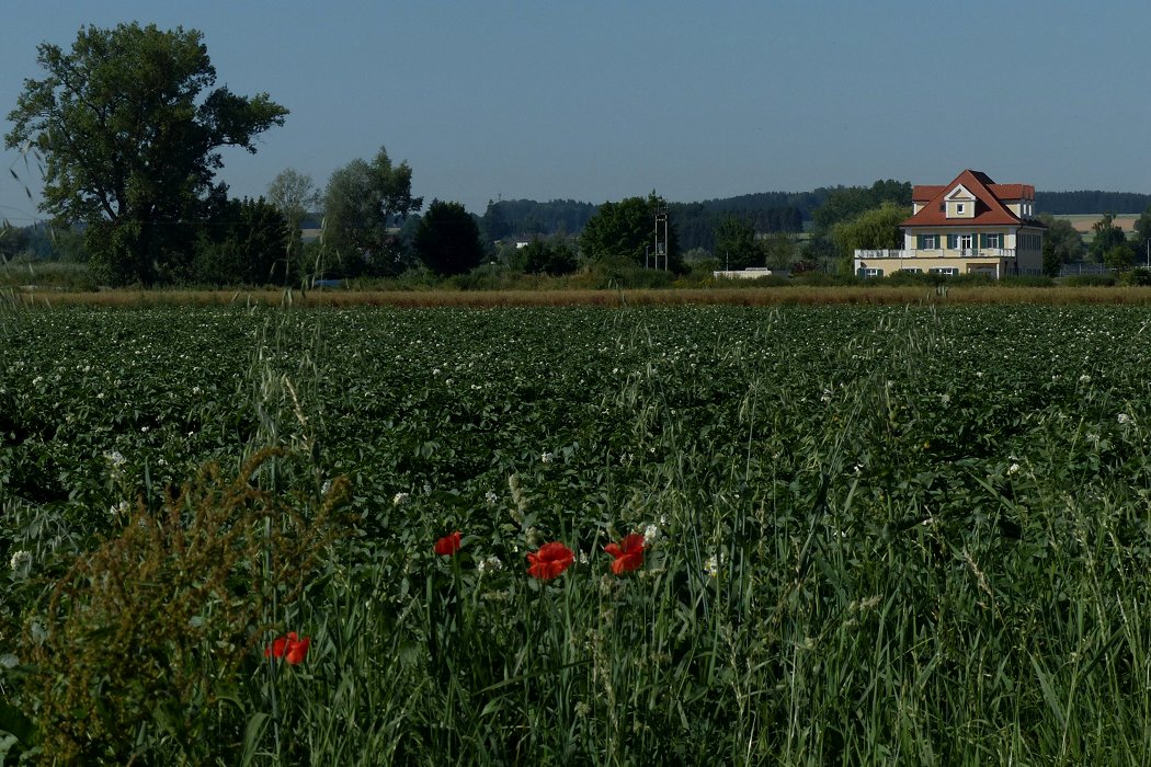 Ohne Nachrauschen