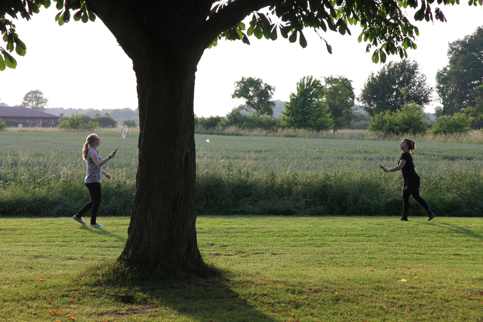 Ohne Netz aber mit Baum