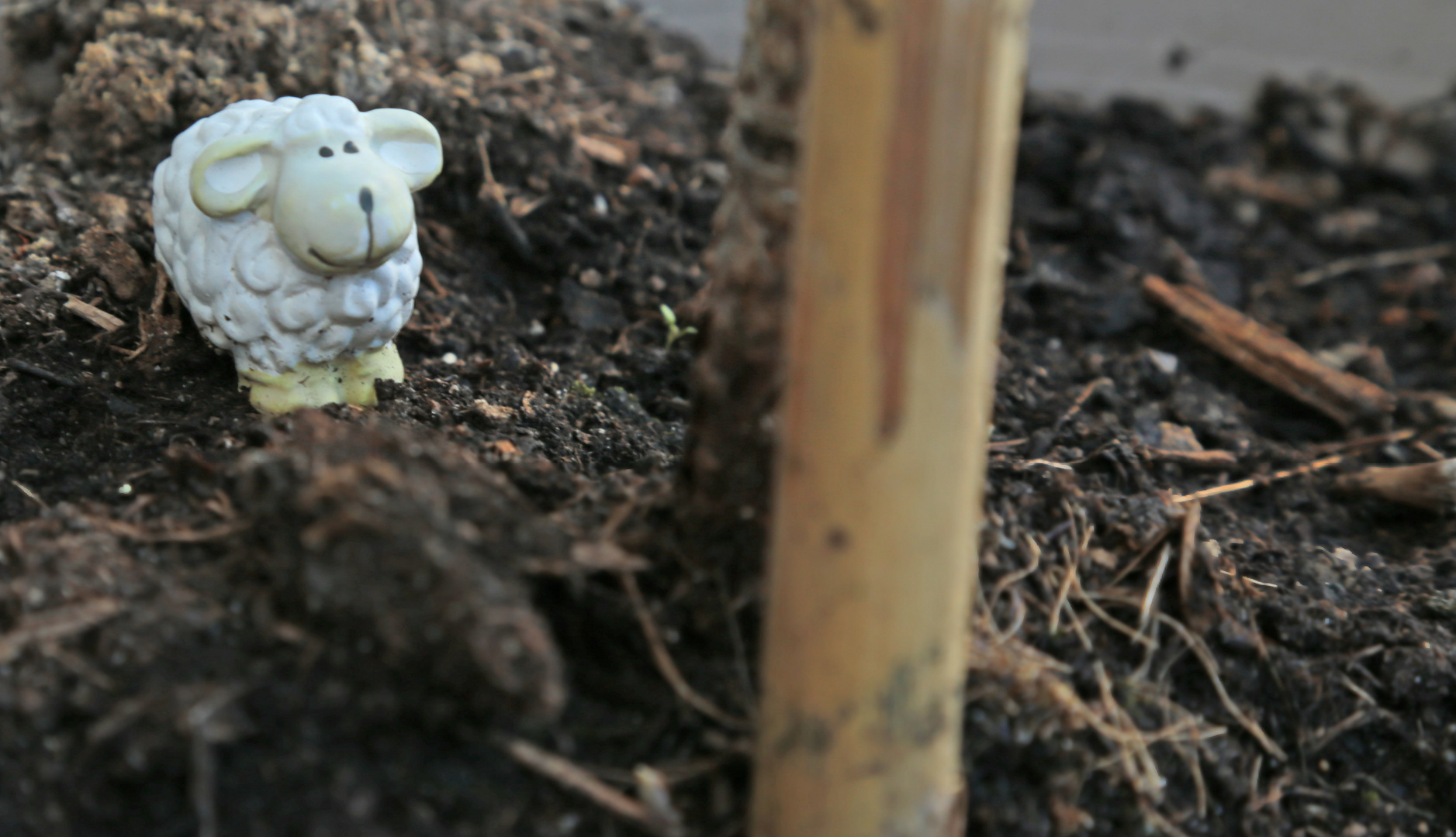 Ohne Ostern kein Frühling