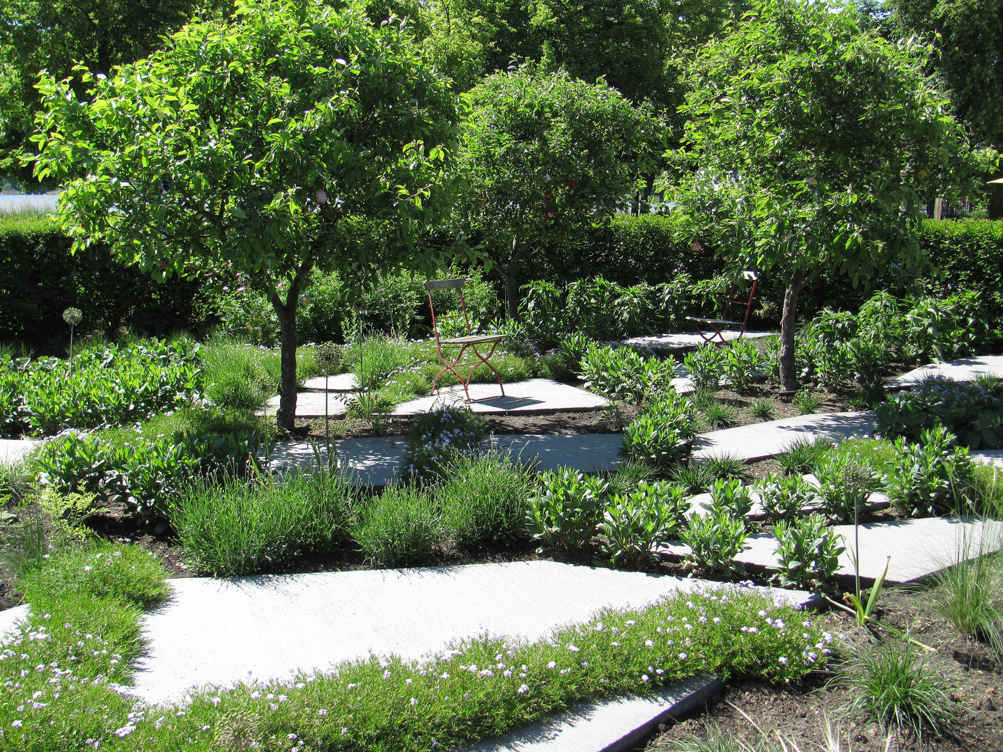ohne Rasen Foto & Bild landschaft, garten