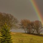 Ohne Regen kein Bogen 2