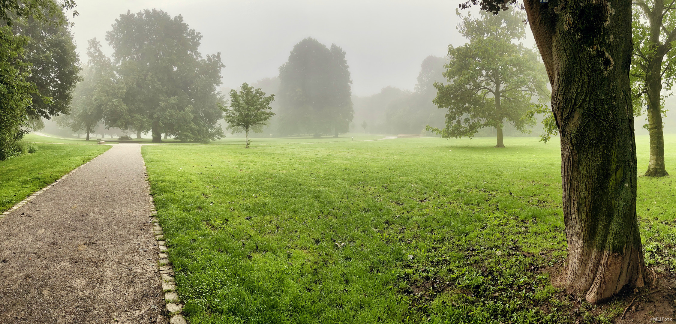 Ohne Sonne dafür Nebel