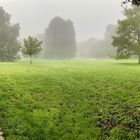 Ohne Sonne dafür Nebel