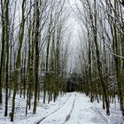  Ohne Sonne, ist alles grau grau..... nur der Schnee ist weiß! 