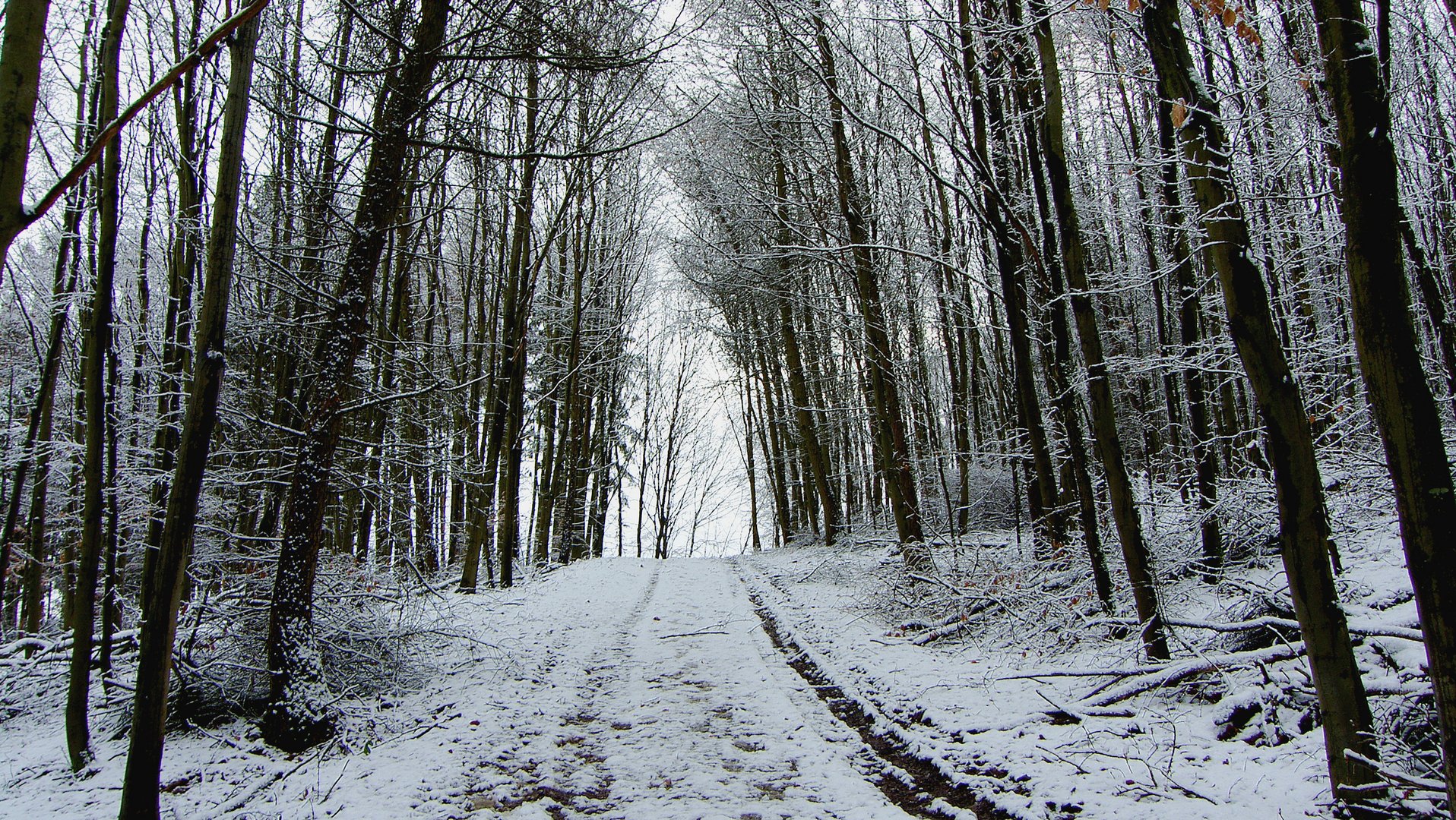 Ohne Sonne, ist alles grau in grau....... nur der Schnee ist weiß!